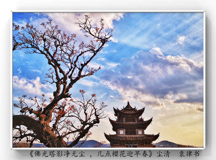 025《佛光塔影凈無(wú)塵 ，幾點(diǎn)櫻花迎早春》.jpg