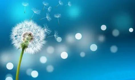 u=3649282280,2793937380&fm=11&gp=0.jpg u=3649282280,2793937380&fm=11&gp=0.jpg