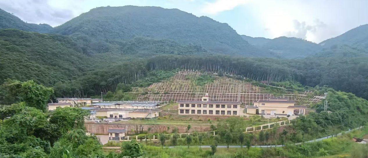 圖片3.png 圖片3.png